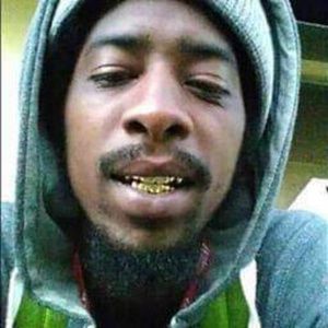 Meet your Posher, Hansel